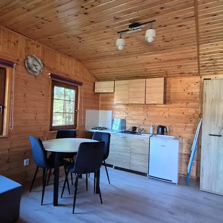 Дом отдыха Forest Sauna Jacuzzi Balia Darlowko Rusko Дарлово